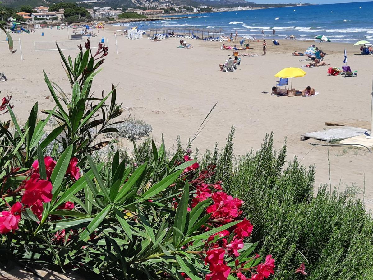 Alcossebre Ferienwohnung Mit Privat-Pool מראה חיצוני תמונה
