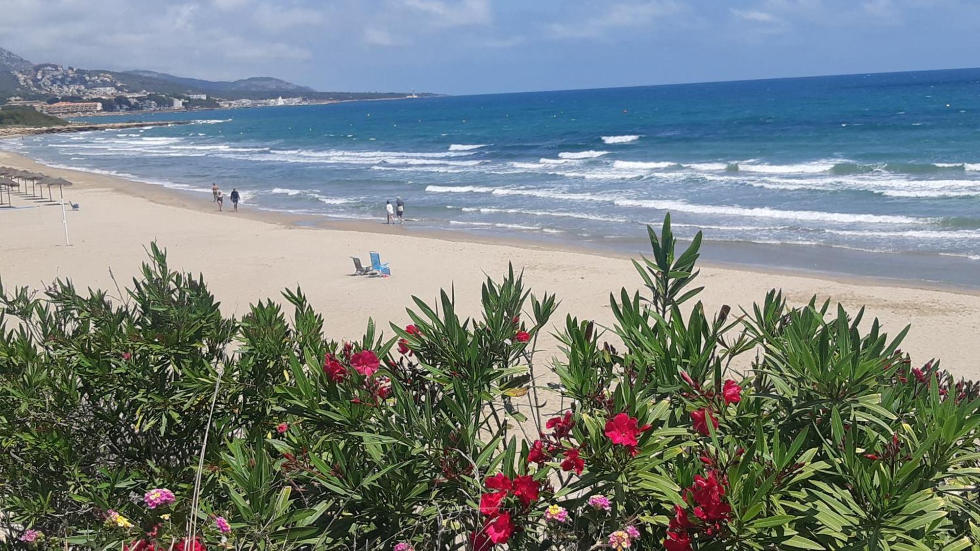 Alcossebre Ferienwohnung Mit Privat-Pool מראה חיצוני תמונה