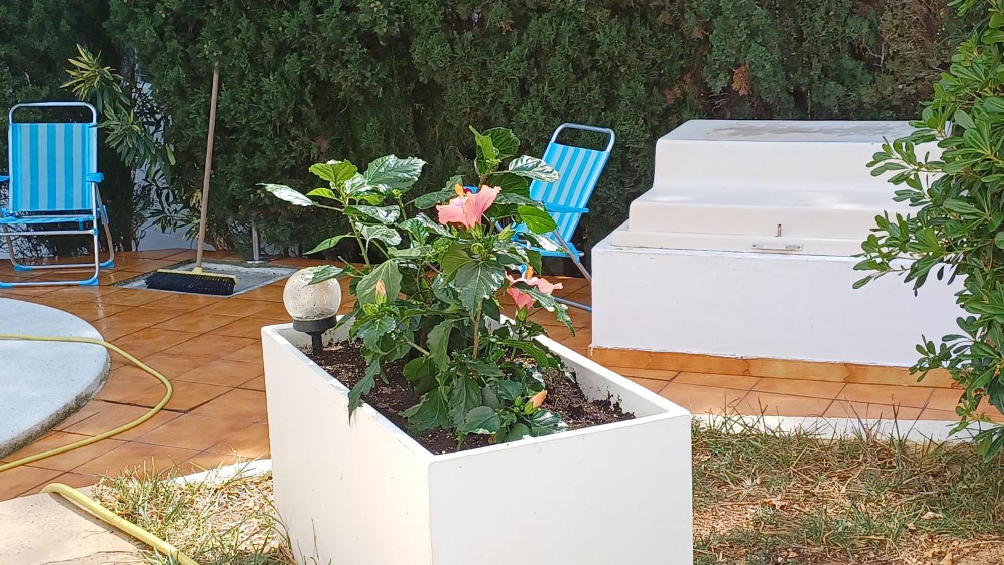 Alcossebre Ferienwohnung Mit Privat-Pool מראה חיצוני תמונה