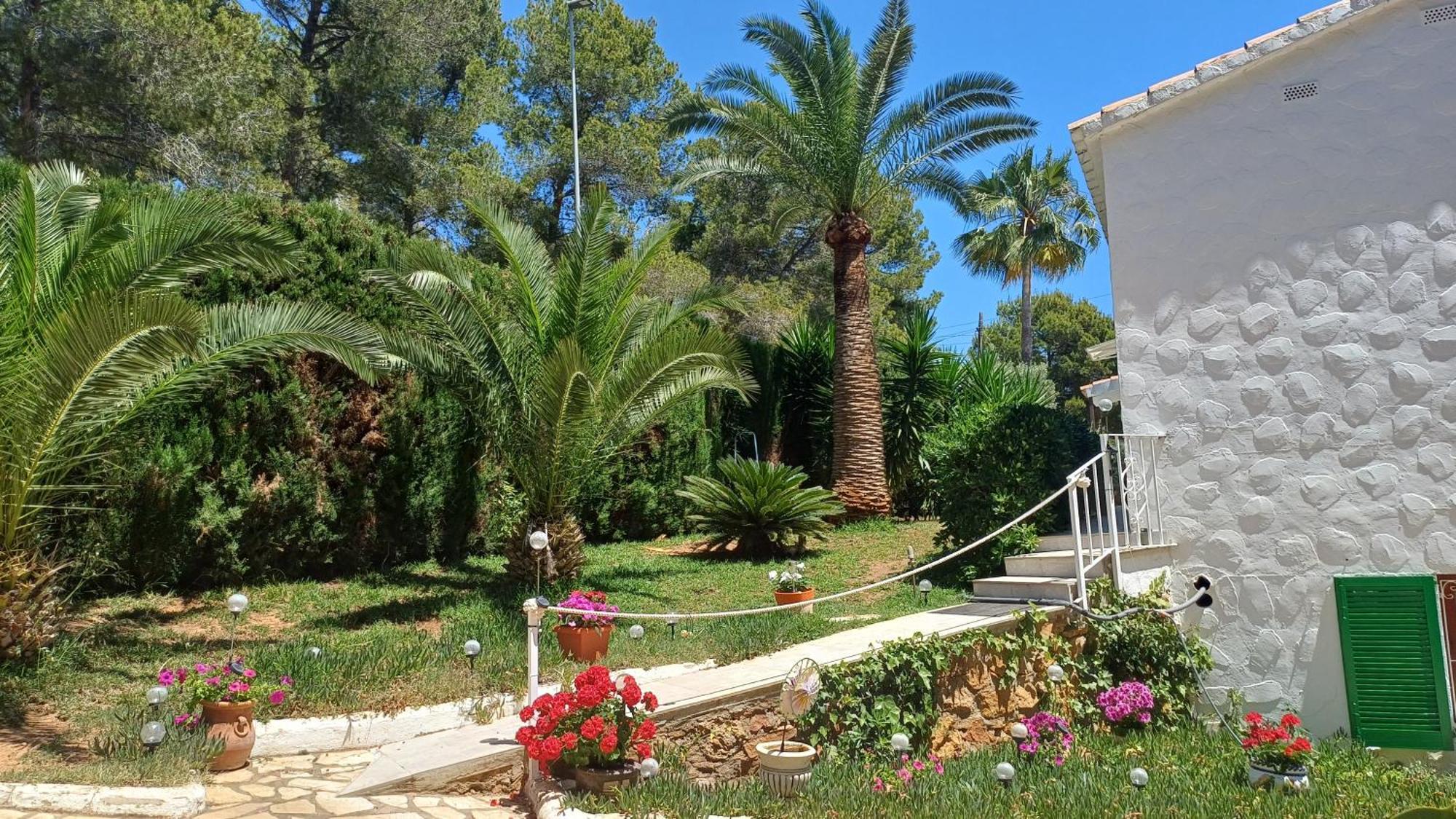 Alcossebre Ferienwohnung Mit Privat-Pool מראה חיצוני תמונה